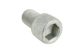 935482-0-sruba-imbusowa-m20-x-2-5-x-3