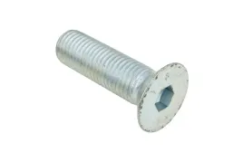0469120-sruba-imbusowa-m20-x-70