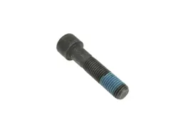 216606-0-sruba-imbusowa-z-lbem-walcowym-niepelny-gwint-m16-x-70