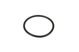 70923579-pierscien-oring-24-x-24-x-02