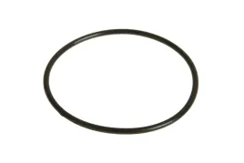 rg00047653-pierscien-oring-47-x-2