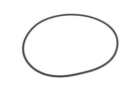 or12667262vp001-pierscien-oring-12667-x-262-mm