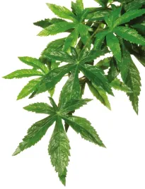 roslina-sztuczna-wystroj-terrarium-silk-abuliton-s