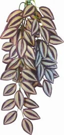 roslina-sztuczna-wystroj-terrarium-trzykrotka-70cm