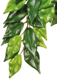 roslina-sztuczna-wystroj-terrarium-silk-ficus-s