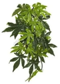 roslina-sztuczna-wystroj-terrarium-silk-abuliton-m