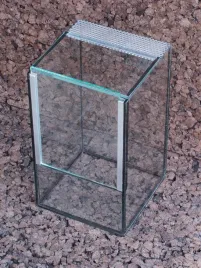 terrarium-15x15x25-cm-pajak-modliszka-straszyk