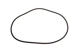 pis07010025-pierscien-oring-12667-x-262