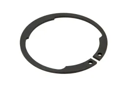 pis06030001-pierscien-segera-wewnetrzny