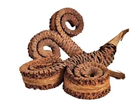 rogi-palmowe-krecone-12-17-cm-wystroj-terrarium