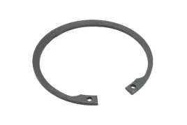 pis06020003-pierscien-segera-wewnetrzny