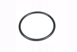 f291200610120-pierscien-oring-termostatu-agco