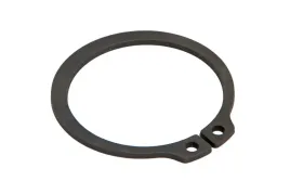 pis06010001-pierscien-segera-zewnetrzny-40-x-175