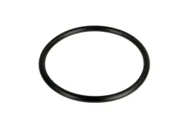001053758-pierscien-oring