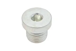 zy00086638-korek-imbusowy-gz-m14-x-15-z-uszczelka