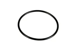 w941585-pierscien-oring