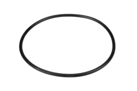 7700703884-oring-walka-podnosnika-7269-x-262-mm