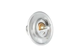 v836015156-termostat-79-st-c