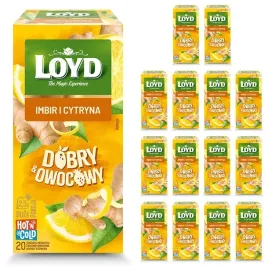 14-sztuk-ekspresowa-herbata-owocowa-loyd-imbir-cytryna-50g-dobryandowocowy