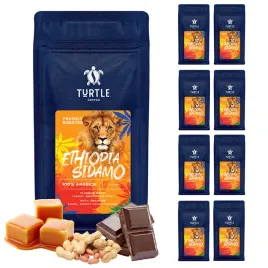 zestaw-swiezo-palona-kawa-ziarnista-ethiopia-sidamo-1kg-turtle-x-8-sztuk