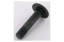 22044908-sruba-okragla-plaska-m16x75-10-9