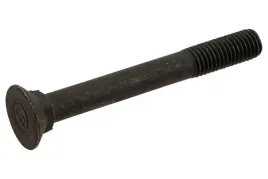 200216317-sruba-m12x100-din-608-10-9