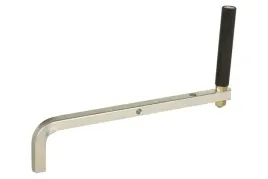 217520-ramie