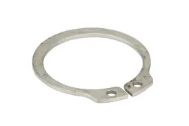 dl163-pierscien-zabezpieczajacy-25x1-2-mm