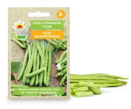 fasola-szparagowa-zielona-hilds-neckarkoningin-10g