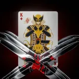 karty-deadpool-theory-nazwa-deadpool-wiek-gracza-18