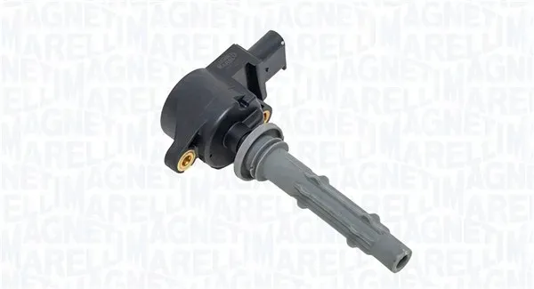 cewka-zapl