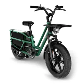 rower-elektryczny-cargo-fiido-t2-2025-20-fatbike-green
