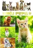 moj-pupil-tw-fenix