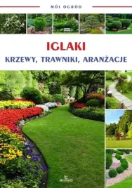 moj-ogrod-iglaki-krzewy-trawy