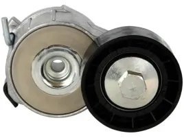 napinacz-paska-citroen-berlingo-1-6hdi-0-8-greater-dayco