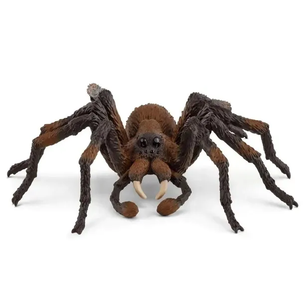 aragog-wizarding-world
