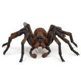 aragog-wizarding-world