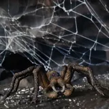 aragog-wizarding-world-marka-schleich