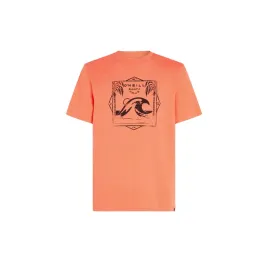 meska-koszulka-z-krotkim-rekawem-mix-and-match-wave-t-shirt-s-o-neill