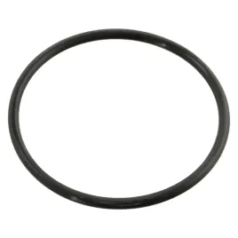 oring-termostatu-60x3-5mm