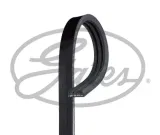 pasek-wieloklinowy-producent-czesci-gates