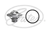 termostat-gates-numer-katalogowy-czesci-th34590g1
