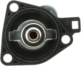 termostat-gates