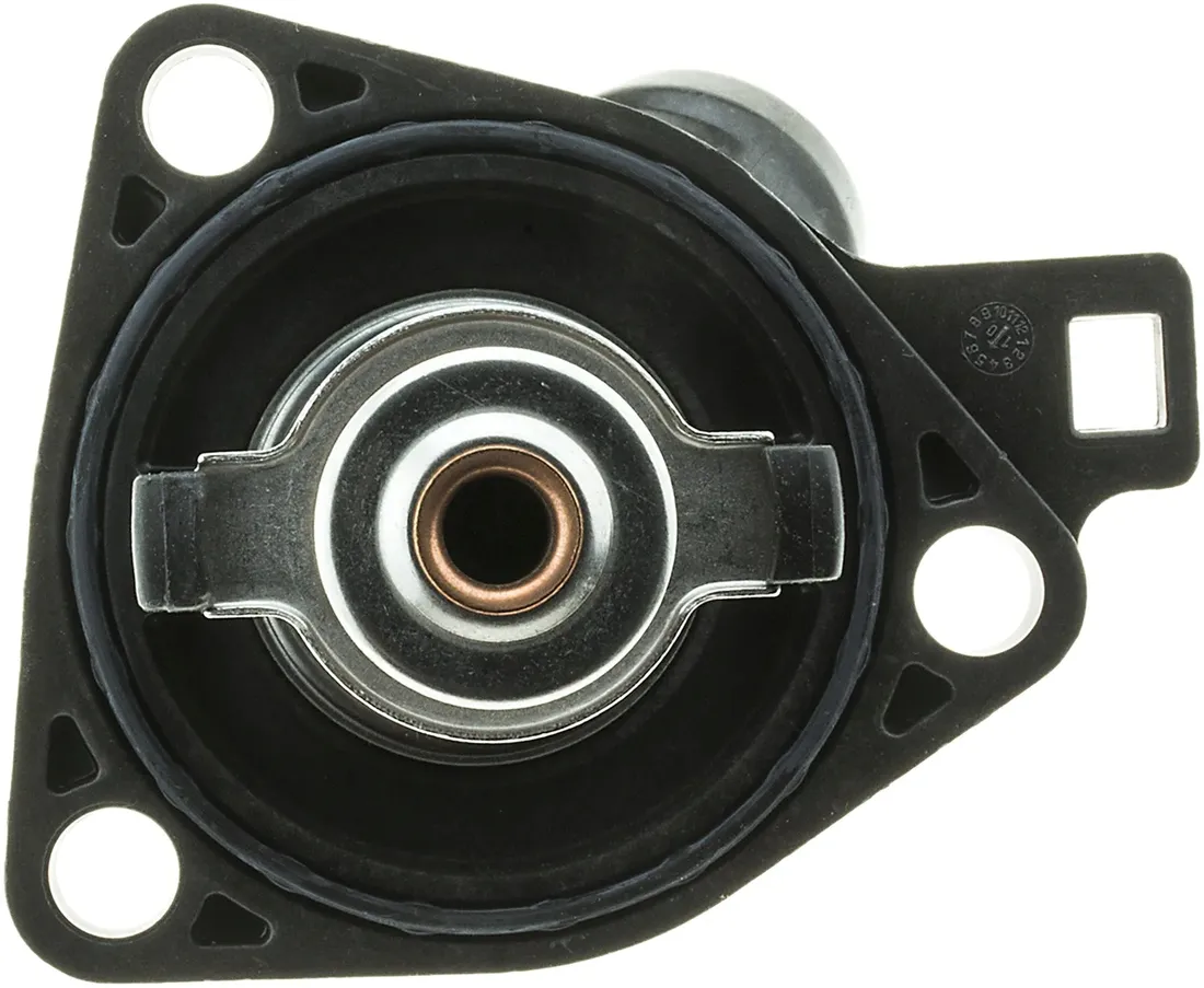 termostat-gates