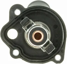 termostat-gates