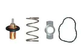 termostat-renault