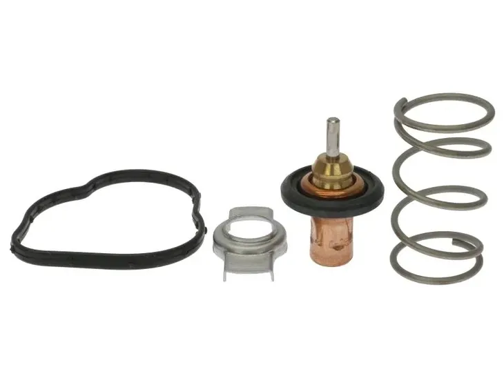 termostat-renault-waga-z-opakowaniem-2-kg