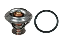 termostat-skoda-scala-1-6d-19-