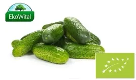 ogorek-gruntowy-bio-1-kg-