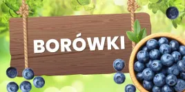 baner-reklamowy-borowki-b1-laminowany-200x100-cm